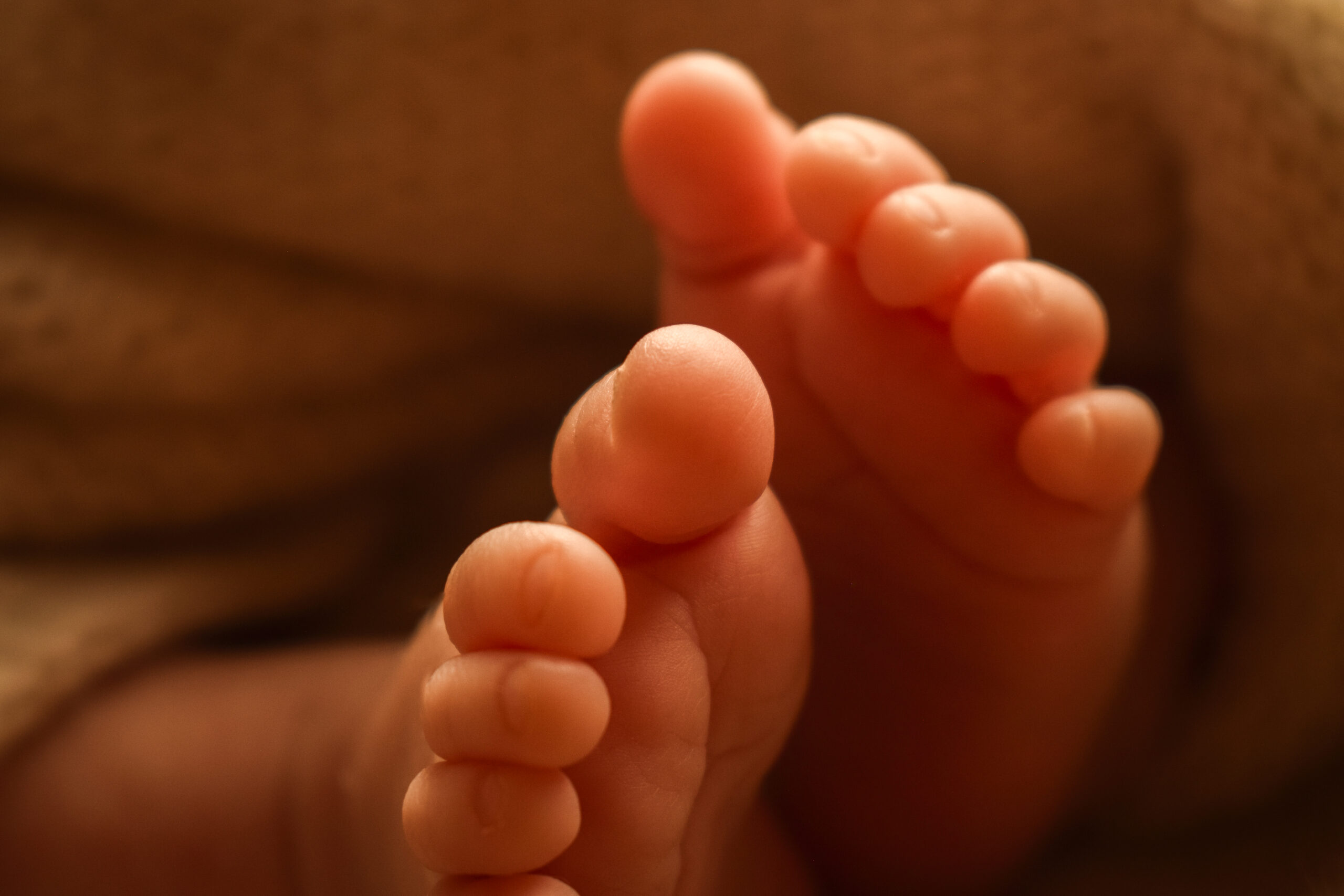 Newbornfotografie zonder tijdsdruk in heel Vlaanderen.