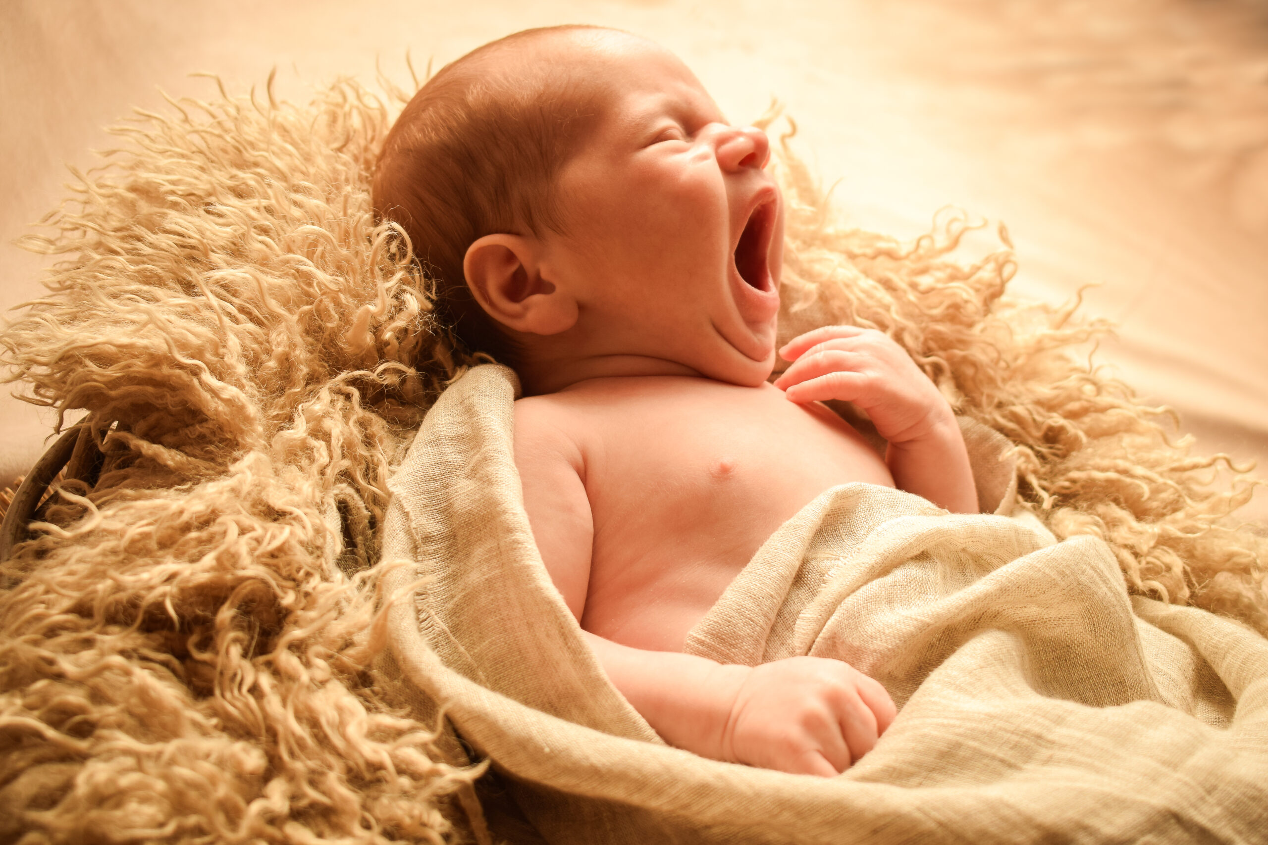 Ontspannen fotoshoots van zwangerschap newborn kinderen en gezin in Vlaanderen